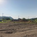 완월동103 이미지