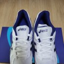 정왕배드민턴장 이미지