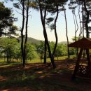 두량저수지 이미지