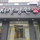 카페루 | 천안 키즈 카페 지상냥원 솔직후기