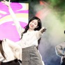 예인 이미지