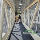 1149 | 말레이시아항공 MH1149 탑승 후기 : 쿠알라룸푸르 -&gt; 페낭 국내선