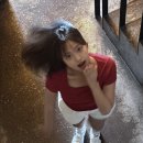 매머드익스프레스이태원동점