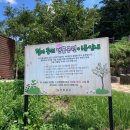 곰내 연밭 가서 연꽃 보고 철마연밥에서 연잎밥 정식 먹었다.