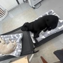 달콤체육관 이미지