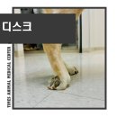 타임즈 동물의료센터 이미지