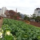 옥신농장 이미지