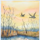 면목동-135 이미지