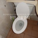 동보만물