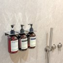 스테이 다래 이미지