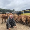 한우사육 이미지