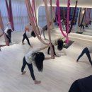 새싹 키즈요가 이미지