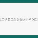 서울베스트동물병원 이미지