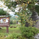 거북이마을 이미지