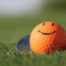 수원-0568 이미지