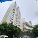서울시 마포구 임장후기