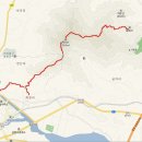 세운장 Daum카페
