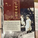욕쟁이 장마담집