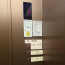 [상담후기] 로망 끝판왕 신상 한강뷰 통창 웨딩홀, 마지막까지 고민한 점은? - 마레보인웨이브🌊