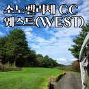 소노펠리체 컨트리클럽 비발디파크 웨스트 | 소노펠리체 웨스트CC 본사 직원의 진짜 후기 | 야간 티가 없는 이유