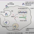 유한회사 키움팜동물병원 | 24/9/7~11/23 함께 배우기 #148~163 헬스케어