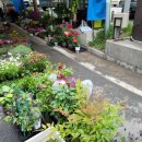 둔내보건지소 이미지