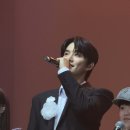 내친구고양이