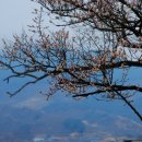 선비뜨락 이미지