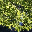 (주)웨이포인트 이미지