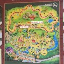 (주)구매로 | 푸꾸옥 가족여행 북부 빈펄 사파리 푸꾸옥 VIP 주 트램 현장 구매 후기