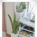 정이드는집 이미지