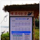진천천 이미지