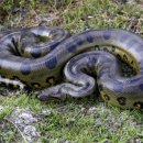 (주)조이포유 이미지