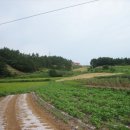 농장자동차공업사 이미지