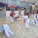 명품태권도장 이미지