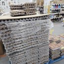 (주)한알 | 용인 도매매장 끝판왕｜1500평 초대형 종합 도매 매장 ABM한알 리얼 후기