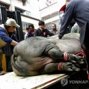 HOLY SPACE 이미지