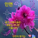 고운아침