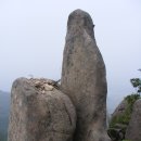 화림 이미지