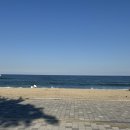 연곡 | 강릉 연곡해변솔향기캠핑장 후기 / B사이트 242번 데크