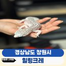 힐링크레
