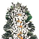 해송초교 이미지