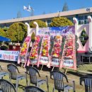 하이초도 이미지