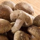 소금&설탕 이미지