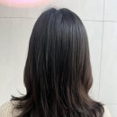 보다봄 이미지