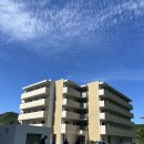 Myong이네 이미지