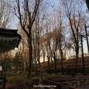 선유건강원 이미지