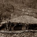 청리초교 이미지