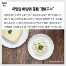 콩과두부 이미지