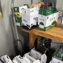 쌍둥이흑염소 이미지